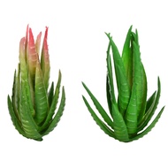 Simulated succulent plant accessories