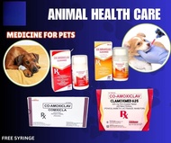 Amoxiclav Non Pet Syringe