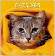 Large Wall Calendar 29 x 29 cm 2025 - September 2024 to December 2025 - Cat