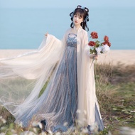 Ancient costume original Hanfu costume female Chebula skirt Tang style big sleeve shirt embroidery C