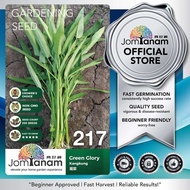 Biji Benih Kangkung Green Glory 217 Kangkung Seed JOM TANAM 蕹菜种子 空心菜种子 蔬菜种子 Benih Berkualiti Vegetab