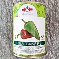 SULTAN F1 HYBRID SWEET PEPPER / BELL PEPPER / ATSAL SEEDS (25 GRAMS) by EAST WEST SEED