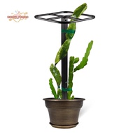 Premium Dragon Fruit Trellis Durables Metal Trellis for Vertical Gardening and Climbing Plants