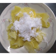 Ubi Gadong @ Ubi Ara  ( Discorea Sp ) Benih Keratan