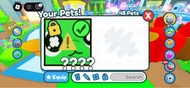 Pet simulator X