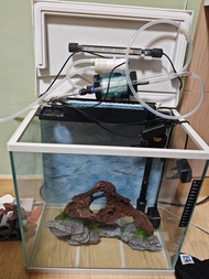 更新 中型魚缸 + 燈、過濾器、 usb 電動換水器，假山裝飾，即買即用
