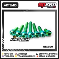 Titanium Front Brake Hose Bracket Bolt 160 Grade 5 King Nut