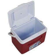 American Le Baimei Car Hot and Cold Dual-Use Insulation Box 9.5L Refrigerator FG2A11 Cooler Box 10QT