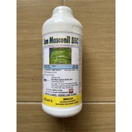 🔥BIG SALES🔥 [100% Original] [1L] BM Masconil 5SC | RACUN ANAI-ANAI FIPRONIL 5%SC | [Tahan Lama Racun