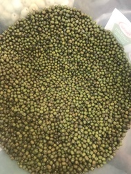 kacang hijau impor australia