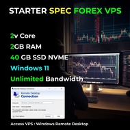 FOREX VPS 2025 Via RDP - 1 MONTH