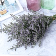 Misty Blue/Caspia Flowers