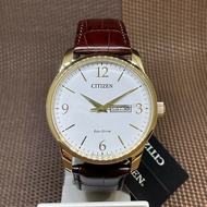 Citizen Eco-Drive BM8553-16A White Analog Brown Leather Elegant Simple Men Watch