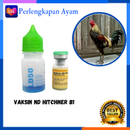 VAKSIN MEDIVAC ND HITCHNER B1 PLUS PELARUT Vaksin Ayam Bebas Penyakit Vaksin AyamTetes Vakin Ayam V