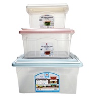 Food storage box, cold box with 2 handles, plastic storage box 6521 with handle