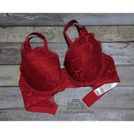 Signature US EURO Bra 34D
