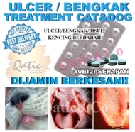 Ubat Ulcer / Bengkak / Bisul / Kencing Berdarah Kucing & Anjing