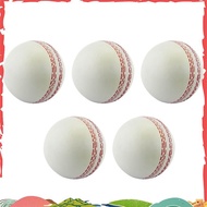 Sports Cricket, Training Cricket, Sports Wind Swing Rebound  Cricket, Elastic Decompression Ball new