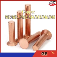 Copper countersunk head rivets GB869 percussion type flat head flat cone head solid rivets Copper d 