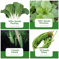 Sale All in 4 in 1 Pack Seeds (Pechay, Mustasa, Patola, Sitaw) Vegetable Garden Pot Outdoor Plant