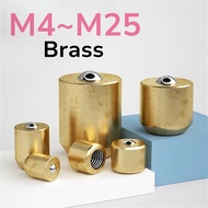 M4 M5 M6 M8 M10 M12 M14 M16 M25 Brass Press Fit Type Oil Cup Ball Push Button Hit&Miss Spring Nozzle