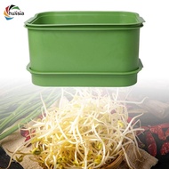 [chulisia] Set of 3 Bean Sprouts Tray Growing Kit Storage Tray Large Capacity Versatile Green Fresh 