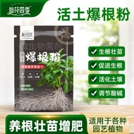 Fast Root Liquid Root Liquid Universal Root Liquid Nutrient Liquid Succulent Green Dill Flower Cut B