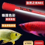 Japan Japan NEC Arowana Dedicated Hair Color Light Extra Color Thousand Fish Three Base Color Fish Tank Light Red Arowana Arowana Light Diving Light