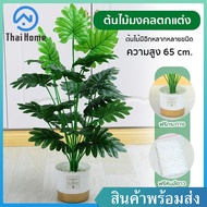 Thai Home ต้นไม้ตกแต่งบ้าน พร้อมกระถางและหิน ต้นไม้ประดิษฐ์ ต้นไม้ปลอม ต้นไม้มงคล (สูง 65 cm.)