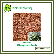 Broccoli Microgreens / Microgreen Seeds