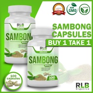 Buy 1 Take 1 - 100% Organic Pure Natural Sambong Capsules (100 Capsules) - Sambong Capsules for Herb