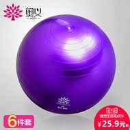 Yoga Stability Gym Ball Set