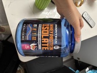 Bodytech Whey Protein Isolate 水果麥片味