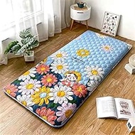 Japanese Floor Mattress,Futon Mattress Foldable Mattress, Roll Up Mattress Tatami Mat, Easy to Store