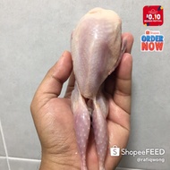 🔥SPECIAL🔥 BURUNG PUYUH FROZEN PROSES (HALAL)