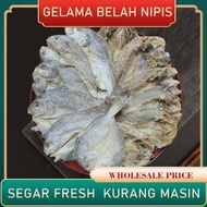 Ikan Masin Gelama Belah Kurang Mesin Gred A -Mr.JANG YU (200g~500g)
