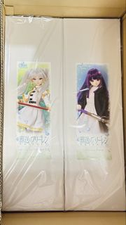 ⁠Volks DDS Dollfie Dream Sister Frieren 2.0 Fern 芙莉蓮 費倫 菲倫葬送的芙莉蓮 葬送のフリーレン BJD⁠
