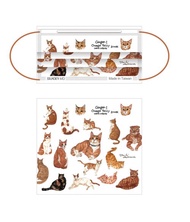 橘貓們 口罩 一盒5入 台灣製