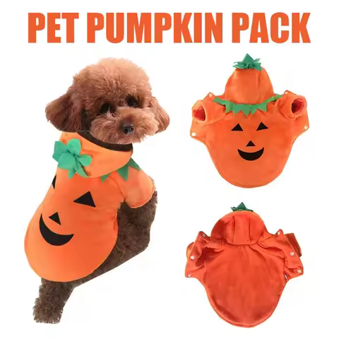 Pet Clothing, Pumpkin, Funny Clothing, Cute Halloween Clothing, Dog Clothing