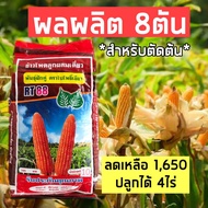 พันธุ์ข้าวโพดเลี้ยงสัตว์ ตัดต้นสด อายุสั้น75วัน ผลผลิต8ตันต่อไร่ รับประกัน