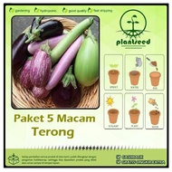 Paket 5 Macam Benih Sayuran Terong F1 Hibrida Bibit Sayur Terong Lalap Ungu Hijau Telunjuk Panjang