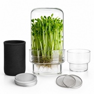 2 Pieces Sprouter Easy-Rinse Glass Sprouter with Blackout Sleeve Wide Mouth Sprouting Jar Rust-Resis