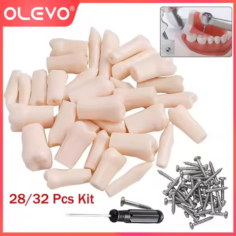 OLEVO 28/32 Pcs Dental Replacement Screw-in Teeth Typodont Model Fit Kilgore NISSIN 200/500 Type Rem