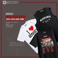 2NE1 Welcome Back Tour Fan-Made Merch