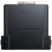 Cayin カインオーディオマザーボードfor N6iii ES9039SPRO搭載 E203