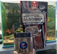 Cám HIKARI nâu - thức ăn Hikari nâu cao cấp giúp tăng size cá cầu vồng cá vàng Koi cá đĩa pleco.. - 
