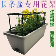 QM🌹Long Pot Flower Stand Flower Stand Anti-Lodging Support Rod Crab Cactus Succulent Green Radish Flower Stand AFXZ