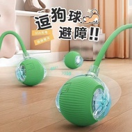 Interactive Tether Ball Toy for Cats & Dogs, Fun Play Chase Toy for Indoor Pets