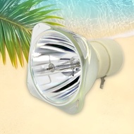 High quality 5J. J6D05.001 is suitable for replacing bare lights with BenQ MS502/MS503/MS502P/MX503/