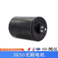 Professional Internal Rotor Brushless DC Motor 3650 Micro Brushless Motor Motor